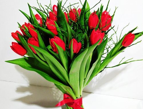 Tulpīšu svētki  un sieviešu līdztiesības idejas