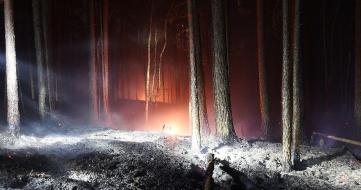 Uzmanību! Mežos sācies ugunsnedrošais laiks