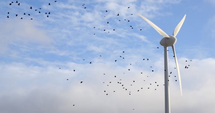 Sola taustāmu labumu vēja parku tuvumā dzīvojošiem iedzīvotājiem un pašvaldībām