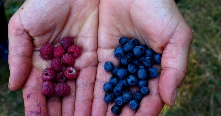 Trūcīgas un maznodrošinātas personas var iesaistīties īslaicīgos sezonas darbos, nezaudējot statusu