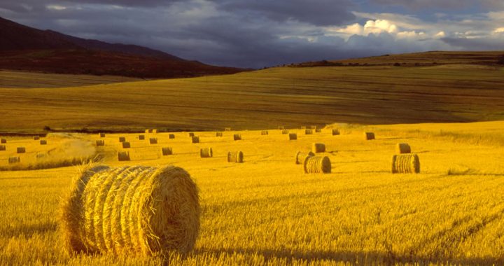 Ja meklē darbu būvniecībā vai laukos