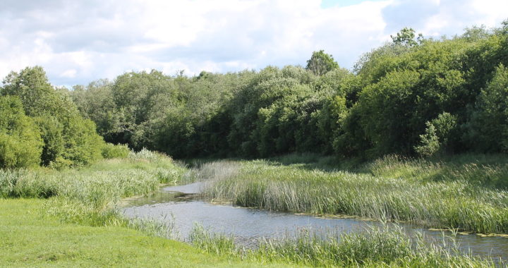 Vai tīši nepiesārņo Abavu?