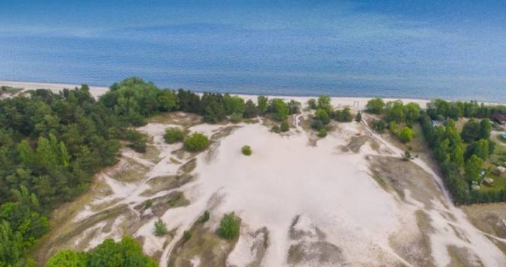 Būs izstāde jeb laikmetīgās mākslas laboratorija Plieņciema Pludmalē