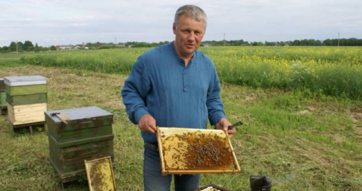 Noslēdzies biškopju konkurss. Godalgota vieta – arī kandavniekam.