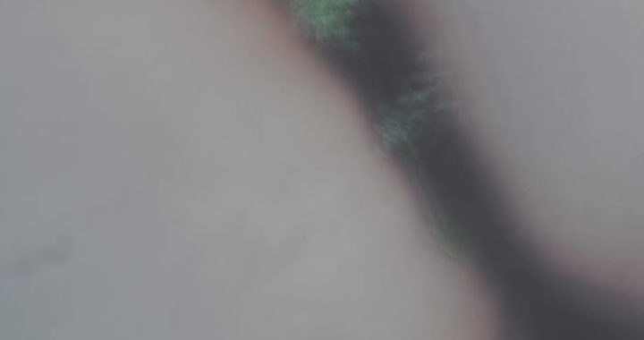 Izstāžu sēriju Plieņciemā turpina māksliniece Paulīne Kalniņa