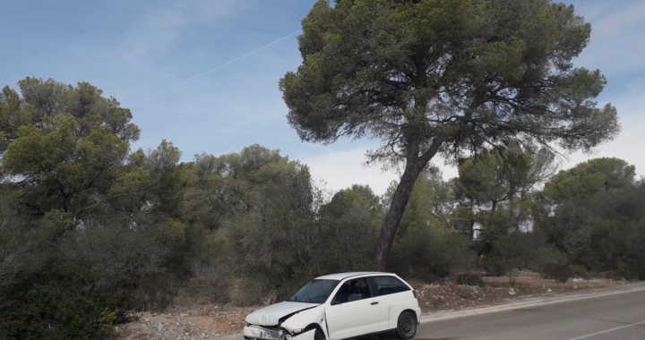 Klāt cikla trešā izstāde Plieņciemā