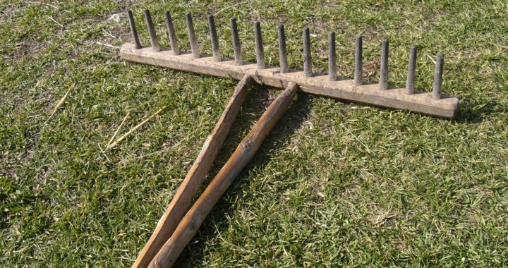 Kaņiera ezera krastos notiks sezonas pēdējā siena talka zāļu purvā