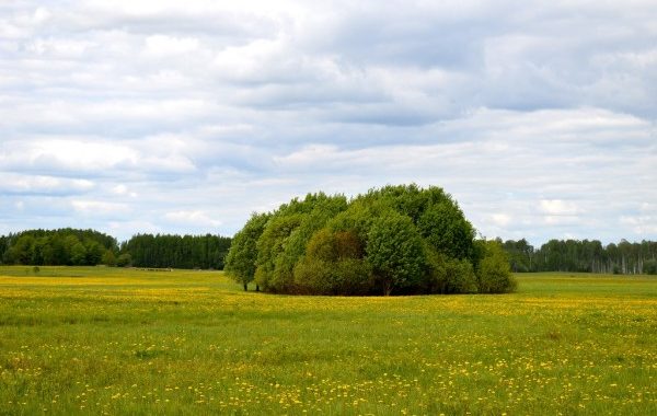 Projekts – Novadi zaļo