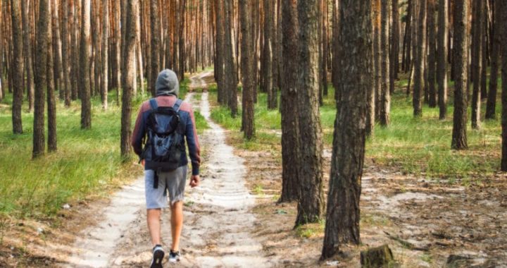 17. augustā uz Latvijas un Lietuvas robežas sāks Mežtakas apsekojumus Kurzemē!