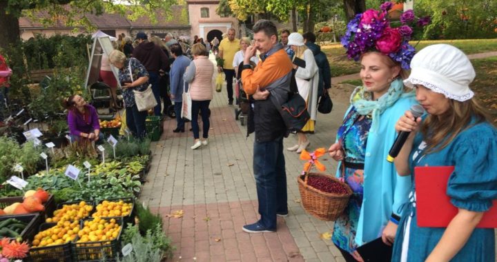 Šlokenbekā arī tirgus