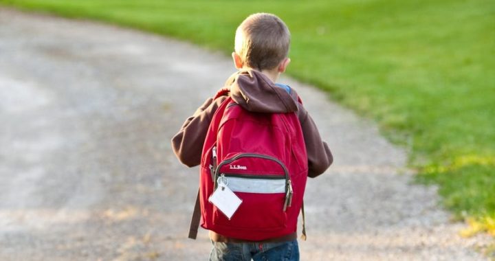 Vai tiešām bērni nedrīkst iet uz skolu?