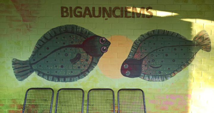 Bigauņciemā iedzīvotāji apgleznojuši autobusa pieturu