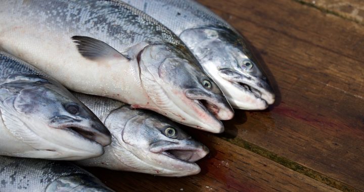 Savs sudrabiņš no katras zvīņas