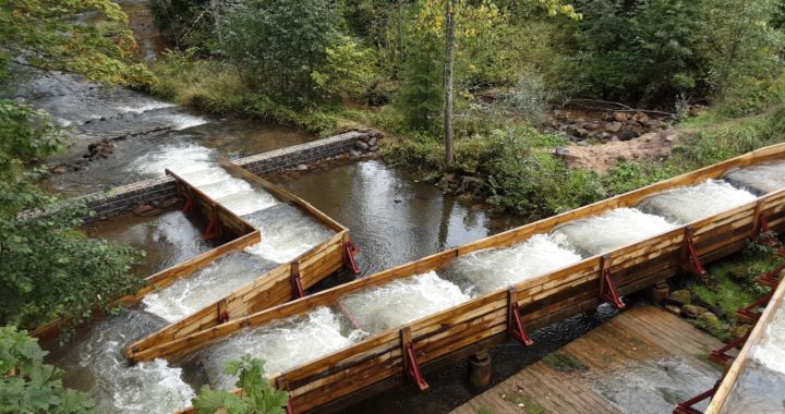 Upē viens nav karotājs