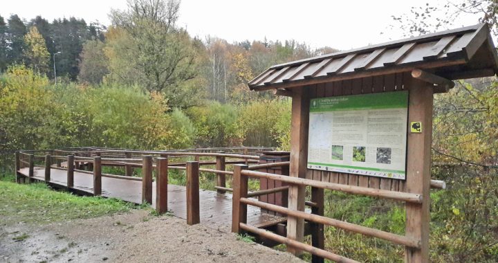 Darīt var daudz, bet nav obligāti