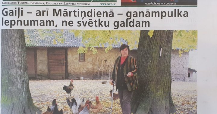 Lasiet laikraksta «Neatkarīgās Tukuma Ziņas» 11. novembra numurā!