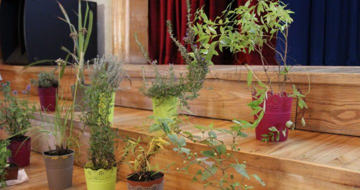 Jaunpilī  godināti sakopto sētu saimnieki