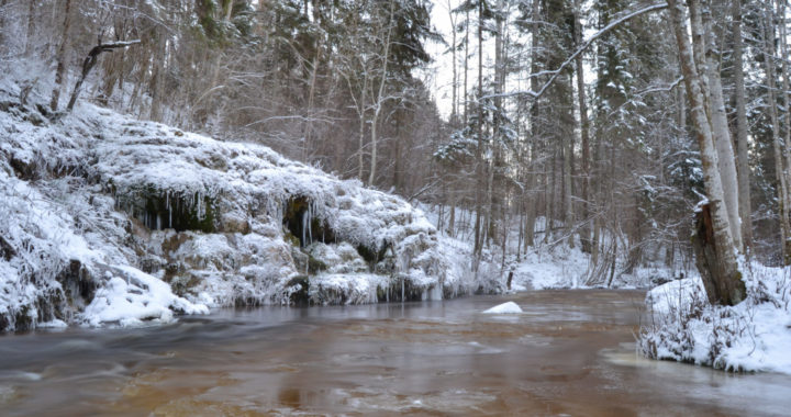 Pienākums pret vietu, kur dzīvo