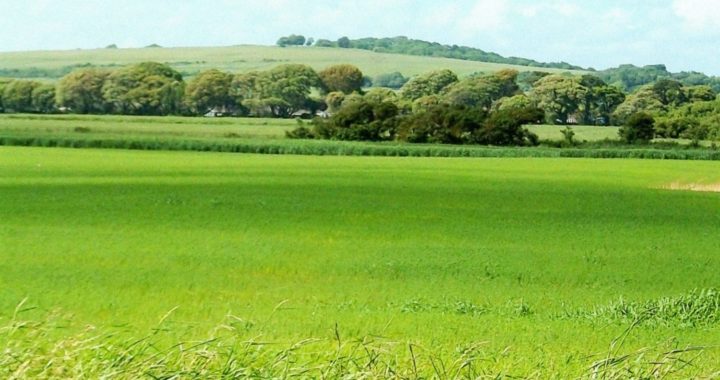 Uzticams atbalsts jaunajiem lauksaimniekiem – Lande.lv