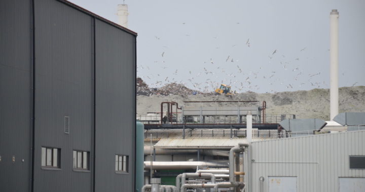 Daudz darba vēl priekšā