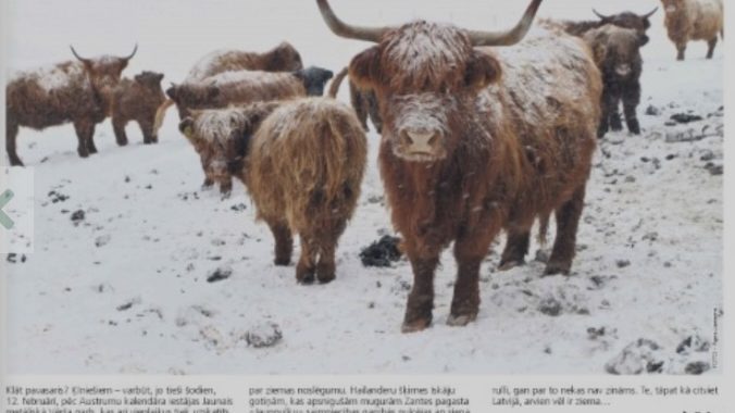 12. februāra laikraksta apskats