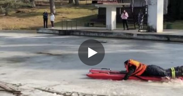 Glābēji Kandavā no ledus noceļ sunīti