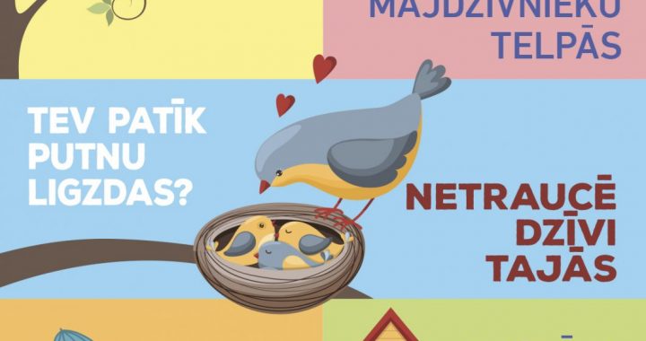 Jāļauj putniem ligzdot mierā