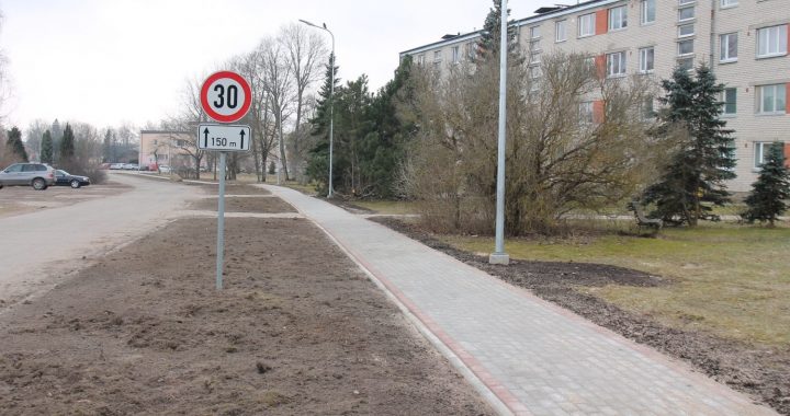 Kāpēc par Valteru ielas kokiem neaprunājās?