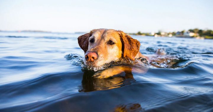 Abragciemā situācija uzlabojusies!