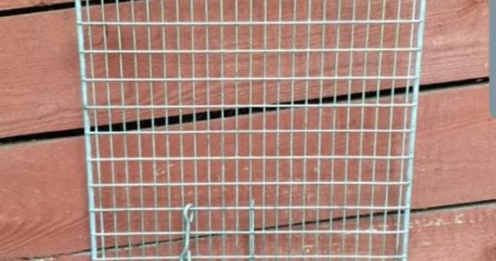 Nozog kaķu būra resti. Lūgums palīdzēt!