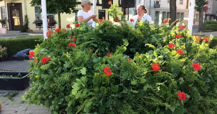 Top Saulgrieži! Top Līgo un Jāņi Tukumā!