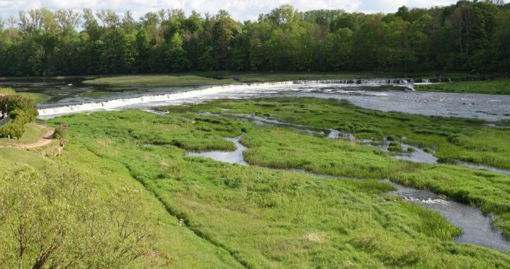 Arī par upēm ir jārūpējas/VIDEO/