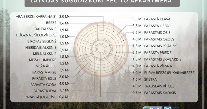 Latvija ir dižkoku zeme   