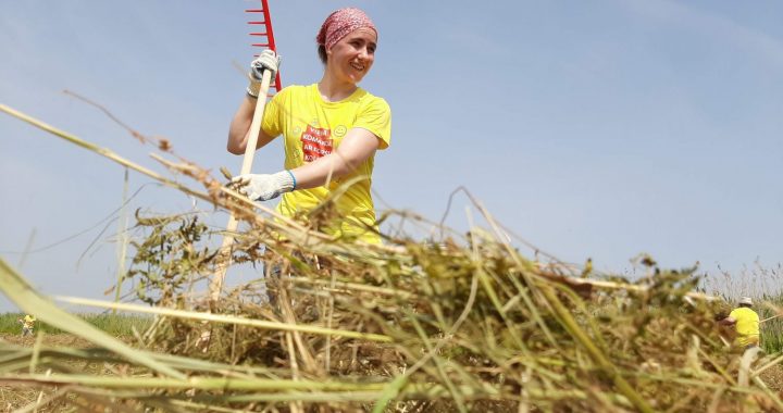 Atsākušas talkas dabā, to skaitā pie Kaņiera ezera