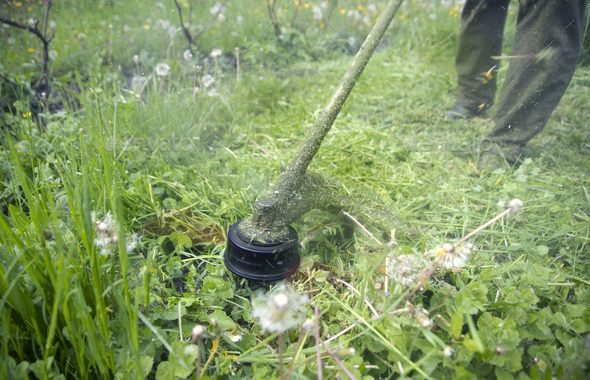 Diez, vai plūdos arī pļautu?!