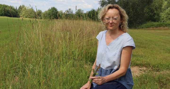 Velēna ir dabiskas pļavas donormateriāls