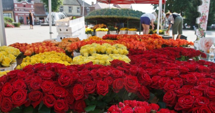 Tukums Rožu svētkiem gatavs/FOTO/