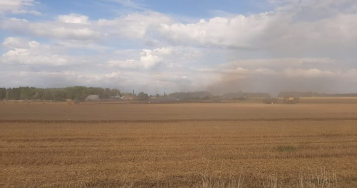 Aizdedzies kārtējais labības lauks /VIDEO/