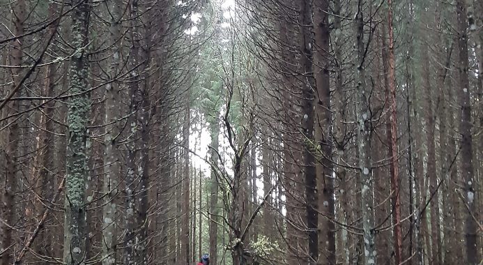 Pārgājiens zeltainajā rudenī, iepazīstot Zantes pagastu/FOTO/