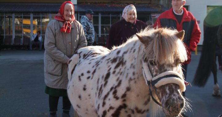 SAC «Rauda» viesojas…zirdziņi