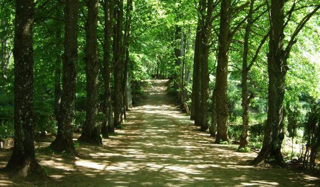 Vai varētu būt jaunas apbedījumu vietas?