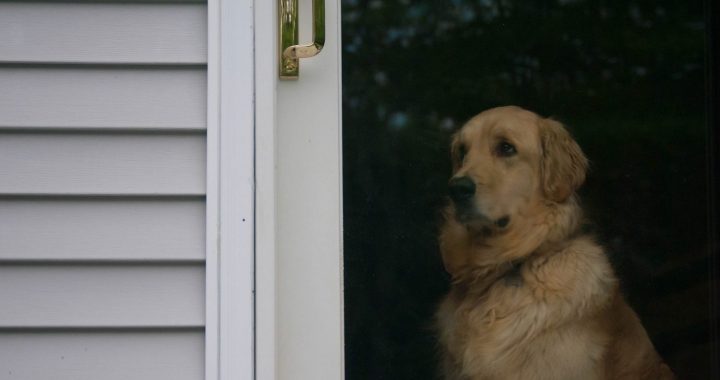 Par dzīvi pēc mājsēdes jeb 15. novembra