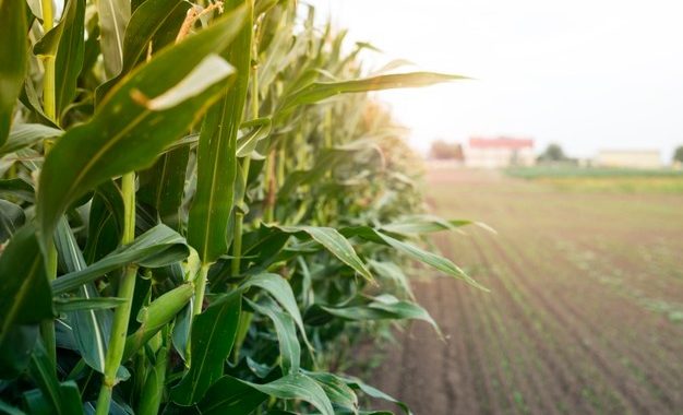 Covid 19 nav vienīgais izaicinājums