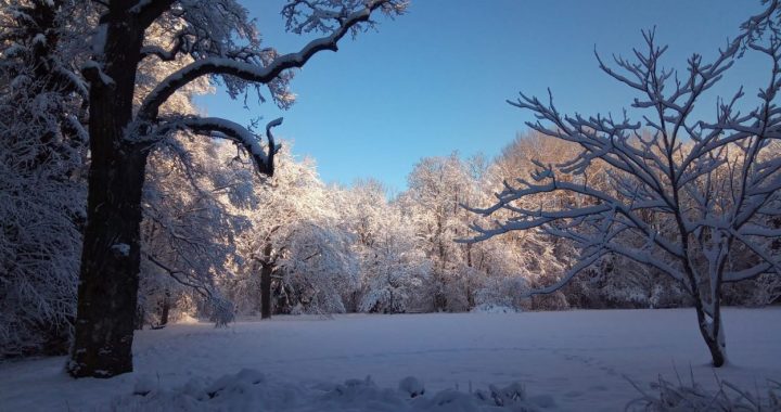 Ziemassvētku satikšanās Ķemeru Nacionālajā parkā