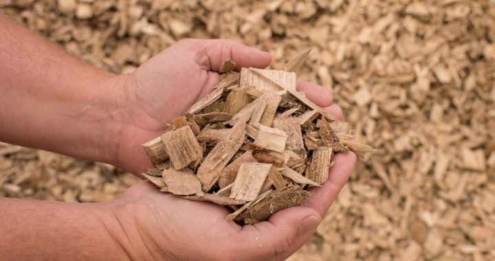 Vai šoziem pietiks šķeldas?