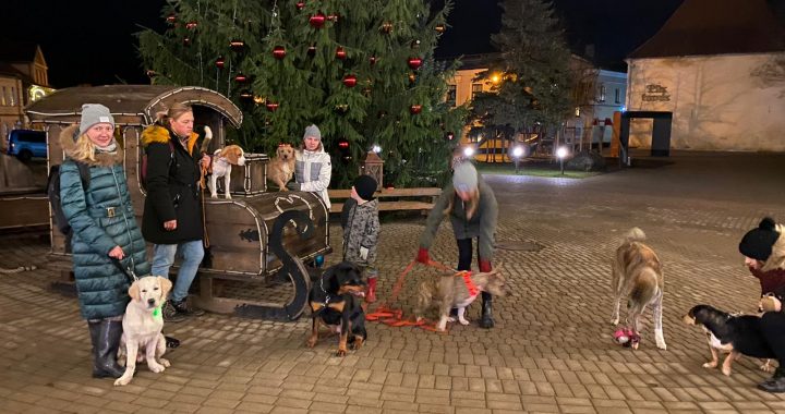 Vēlas izveidot suņu laukumu Tukumā