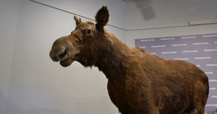 Izstāde par Dabas muzeja krājumu četros gadsimtos