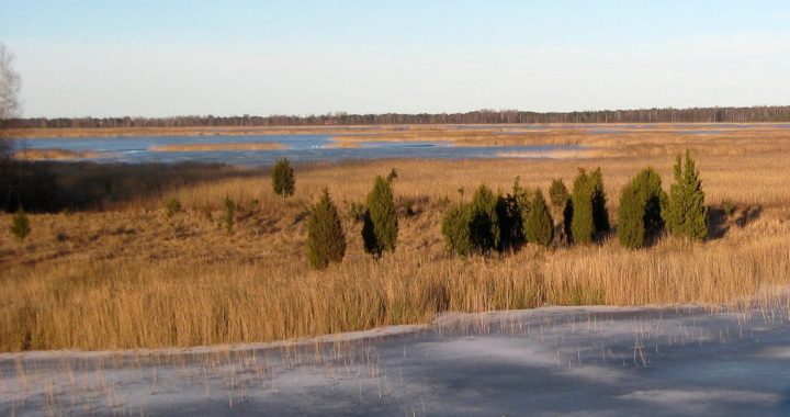 Aicina uz mitrāju mēneša pasākumiem, to skaitā uz talku pie Kaņieru ezera