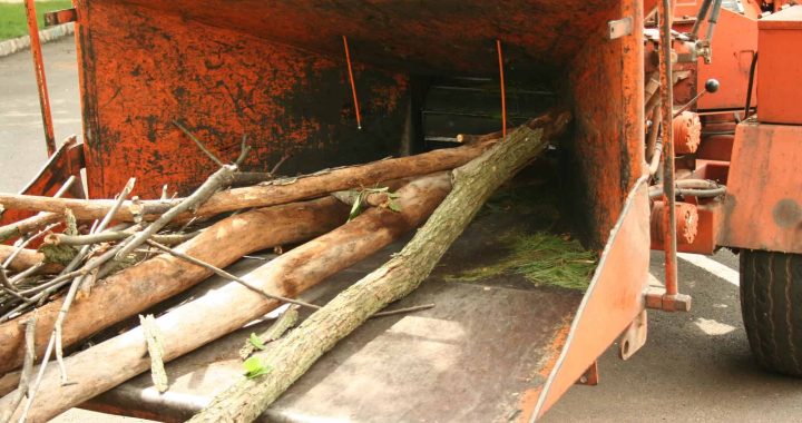 Kāpēc zarus dedzina, bet nešķeldo?!