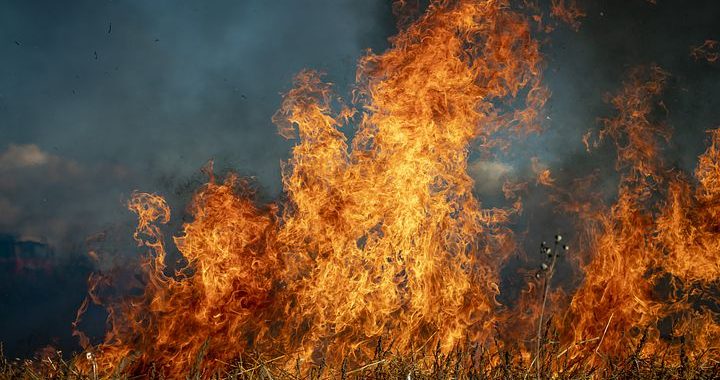 Kūlu dedzina mazāk, tomēr…dedzina